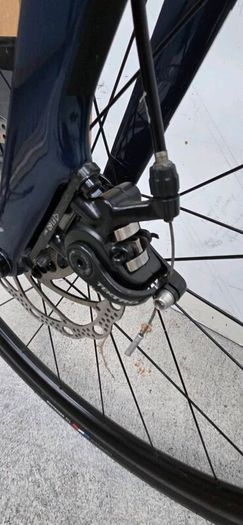 TREK Domane 2