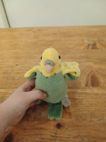 parrot plush