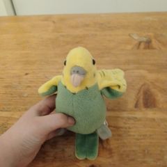 parrot plush