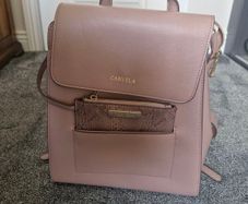 Pink Carvela backpack