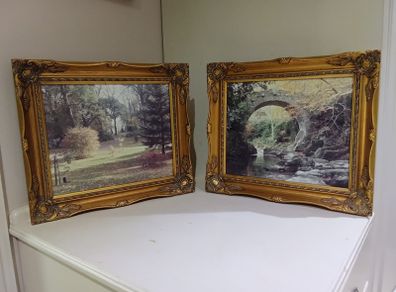 Pictures