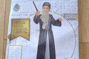 Harry Potter Dumbledore Costume kids