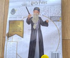 Harry Potter Dumbledore Costume