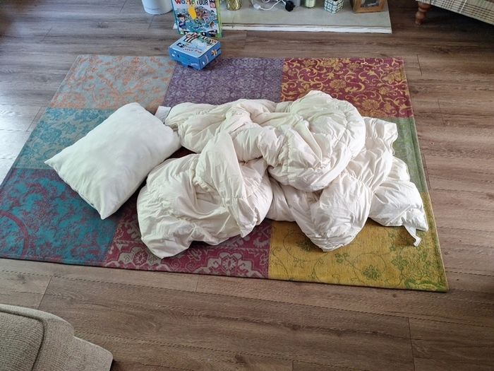 duvet and pillow
