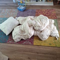 duvet and pillow