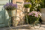 Vintage Bicycle Planter  Retro Iron Garden Ornament with Flower Pot Holders Planting Bike