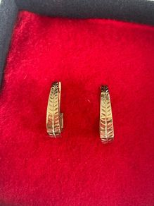 9k Gold Earrings