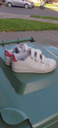 trainers