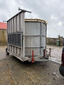 Sheep shower