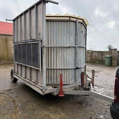 Sheep shower