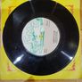 Foster And Allen A Bunch Of Thyme 7 inch Vinyl Single Image 4