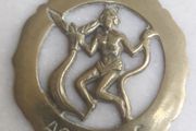 Aquarius horse buckle