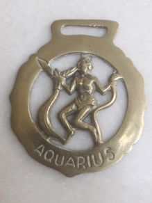 Aquarius horse buckle