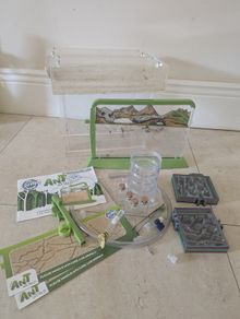 Ant Farms x 3 + Extra Equipment