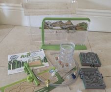 Ant Farms x 3 + Extra Equipment