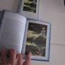 Buddha Discovery Deck: 53 Sutras And Meditation Cards To Create A Silent Space Within by Osho Image 4