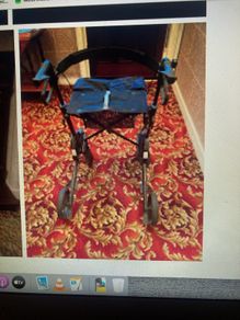 Disability walker