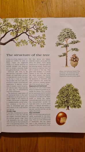 The Art Of Woodgraining. By Stewart Spencer. Techniques For Creating Painted Wood Effects On Interiors, Furniture And Objects.  FIRST EDITION. Large Volume Hardback With Dustjacket In Very Good Condition.
