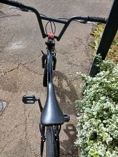 Bmx