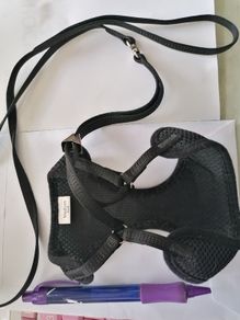 Dog harness and leash