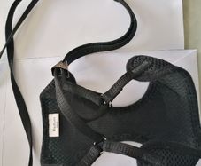 Dog harness and leash