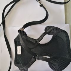 Cat harness and leash