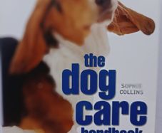 The Dog Care Handbook