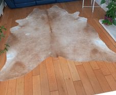 hide rug