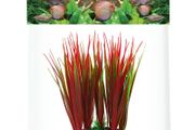 Aqua Nova Artificial Plant 13cm NP-13 078A-R