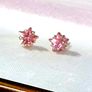 BN White Gold Pink Sapphire Star Studs Image 3