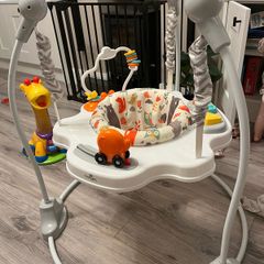 Baby Bouncer
