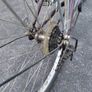 Girls Bicycle Image 3