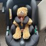 Car Seat Black Image 5