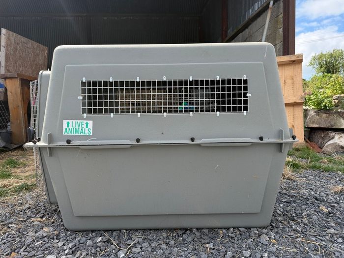 Extra Large IATA dog crate