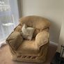 Sofa and chair Image 3