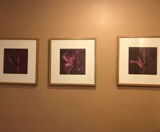 2 framed Floral Prints