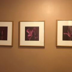 2 framed Floral Prints