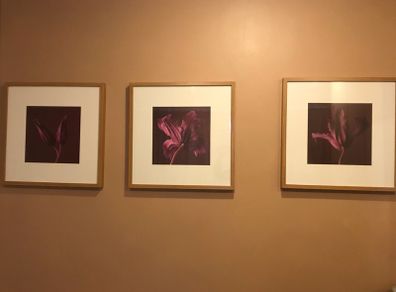 2 framed Floral Prints