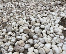 decorative stone