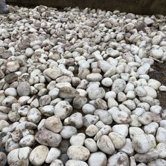 decorative stone