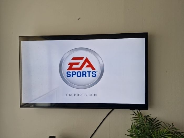 Nintendo Wii Tiger Woods PGA 10 game