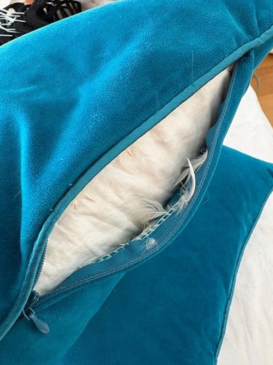 velvet cushions