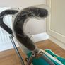 brand new doll pram Image 4