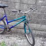 adult bike Image 3