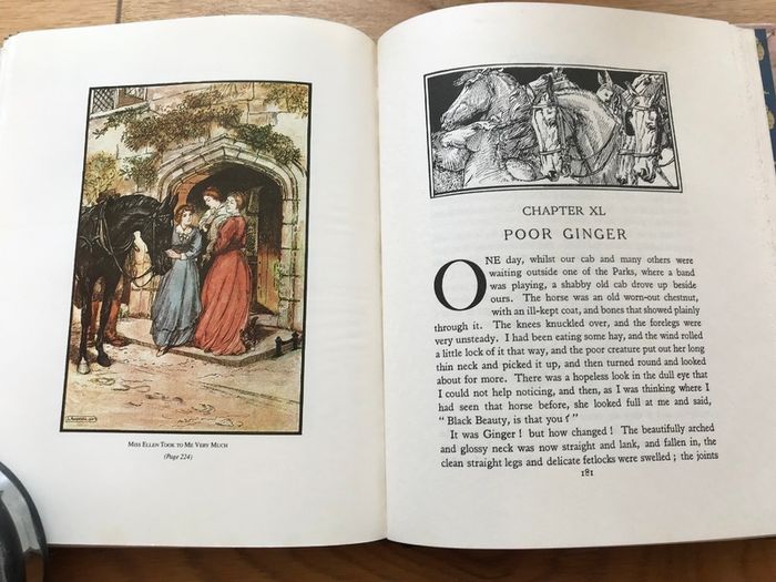 New Black Beauty Book