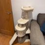 Cat tree Image 2
