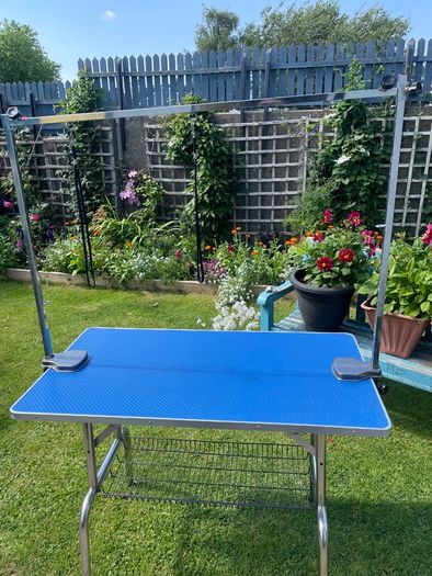 Dog Grooming Table.