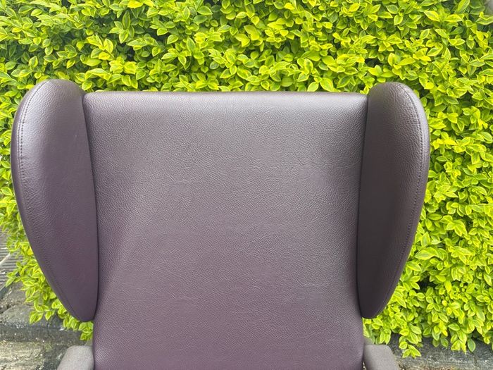 High back recovery/care chair