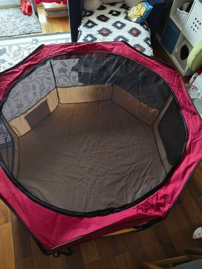 Zampa collapsible pet crate