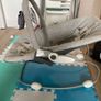 Baby bouncer Image 2